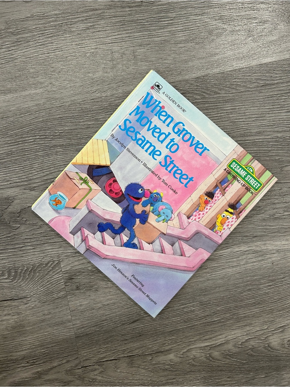 Sesame Street When Grover Moved to Sesame Street - Blue & Pink